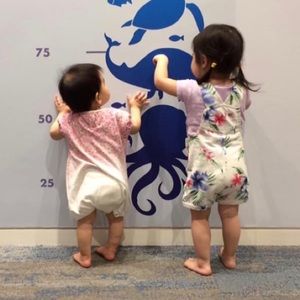 Meet your Posher, Kim